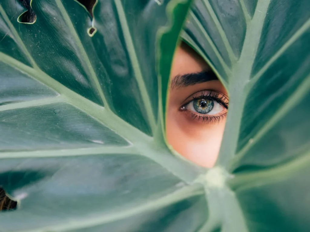A Practical Approach to Creating a Life You Actually Enjoy